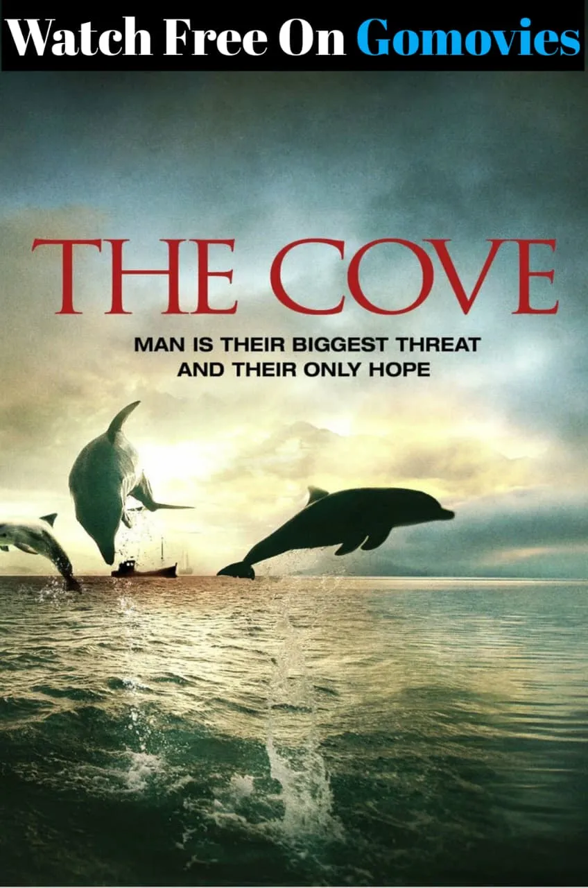 Cove 