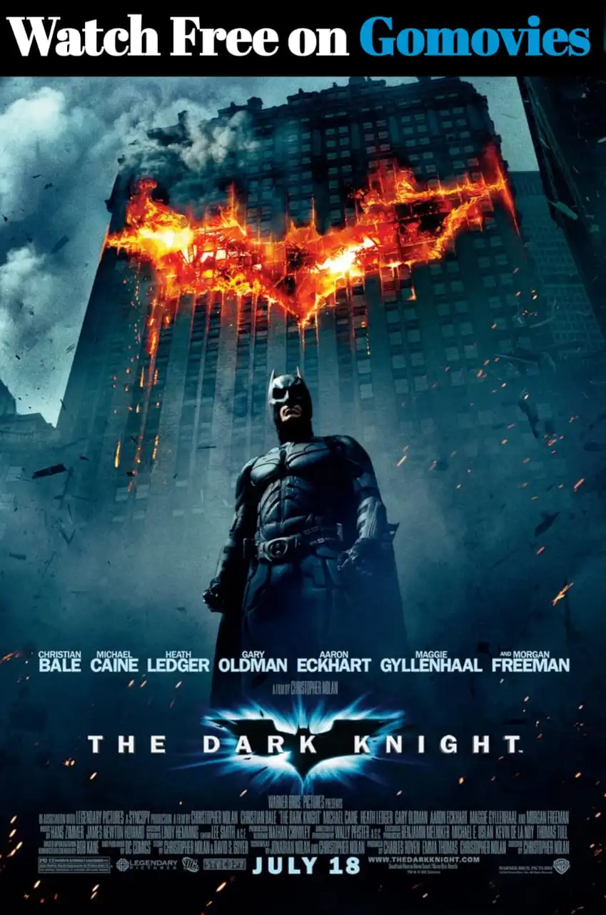The Dark Knight 8 The Dark Knight(2008)